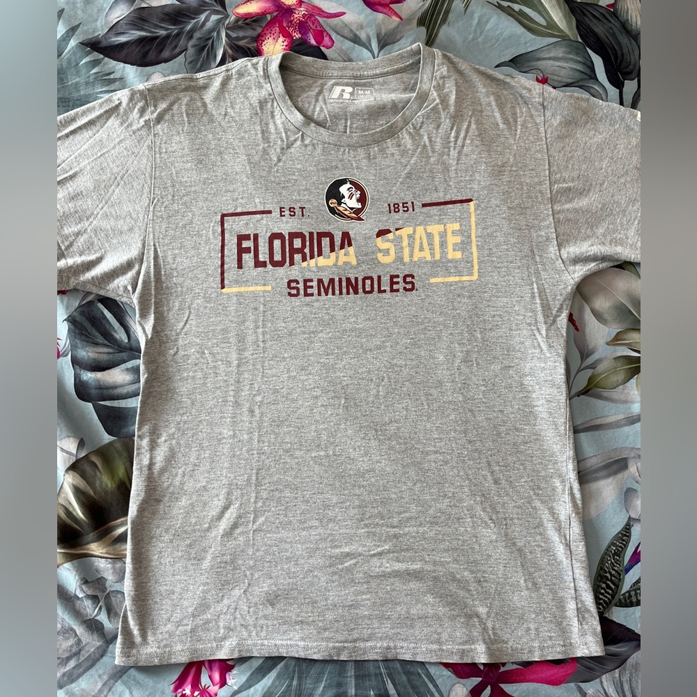 Russell athletic Florida State Seminoles Gray Graphic T-Shirt